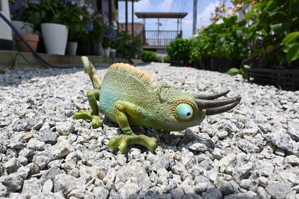 カメレオン　大　爬虫類置物　カメレオンの置物目がギョロっとしてます玄関に飾っても、インテリアとしてもおすすめです。