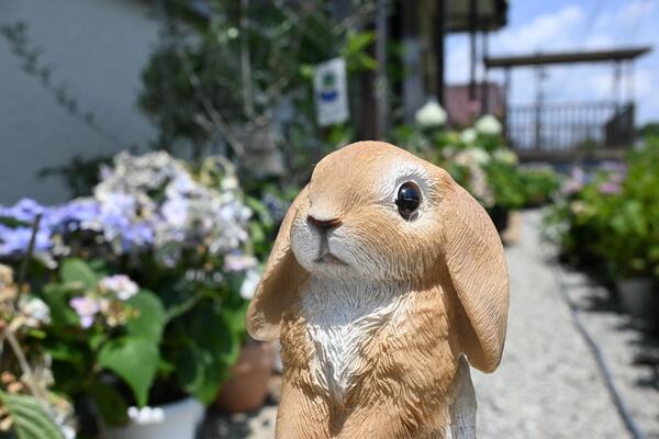 ロップイヤー うさぎうさぎの置物 置物 ラビットお庭や玄関はもちろん お部屋にも。新築祝いなど プレゼントにもどうぞ。