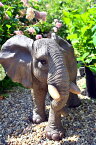 ゾウの置物　ぞうリアルな置物　かわいい置物　置物　象アフリカ象　モハメッドお庭や玄関に飾るとgood！本物のような置物