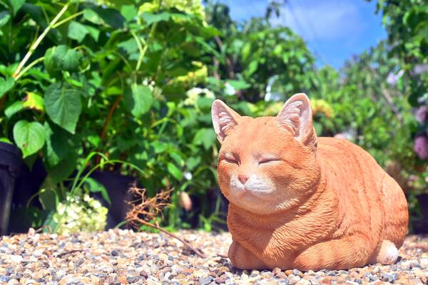 楽天園芸百貨店何でも揃うこぼんさい香箱ねこ　猫　香箱座り　きなこちゃん置物　可愛い置物　キャットネコの置物　リアル猫　ほっこりお庭や玄関に飾るとかわいいです。プレゼントにもどうぞ。