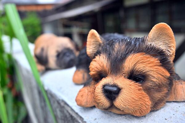 可愛い犬の置物、2つセットです。 お庭や玄関先はもちろん、お部屋にも置けます。 ヨークシャーテリアとパグの赤ちゃん。 目がトロンとしていて、もうあと5秒ほどで眠ってしまいそうですね。 寝落ちする前の一番幸せな時間、一緒に過ごしませんか？ 散歩の必要はもちろん、餌も必要ありません。とてもお利口さんですよ(*^^*) 商品説明 ・商品名スリーピングドッグ ・商品のサイズ 高さ　：　約7センチ 幅　　：　約11センチ 奥行　：　約20センチ ・梱包と発送方法贈り物としてもお届けができます クロネコヤマト便でのお届けです　