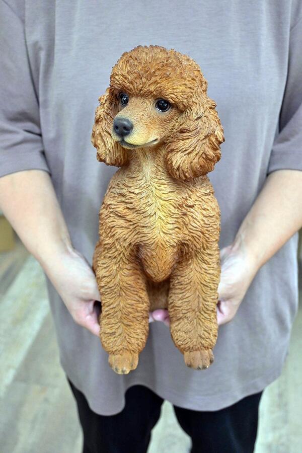 らかくはあ】 プードル 毛が長い犬 いぬ置物 かわいい置物 犬の置物 犬 アップルパイお庭や玄関はもちろん、お部屋にも合います。プレゼントにもどうぞ。:園芸百貨店何でも揃うこぼんさい パイが - shineray.com.br らかくはあ】 プードル 毛が長い犬 いぬ置物 かわいい置物 犬の置物 犬 アップルパイお庭や玄関はもちろん、お部屋にも合います。プレゼントにもどうぞ。:園芸百貨店何でも揃うこぼんさい パイが - shineray.com.br