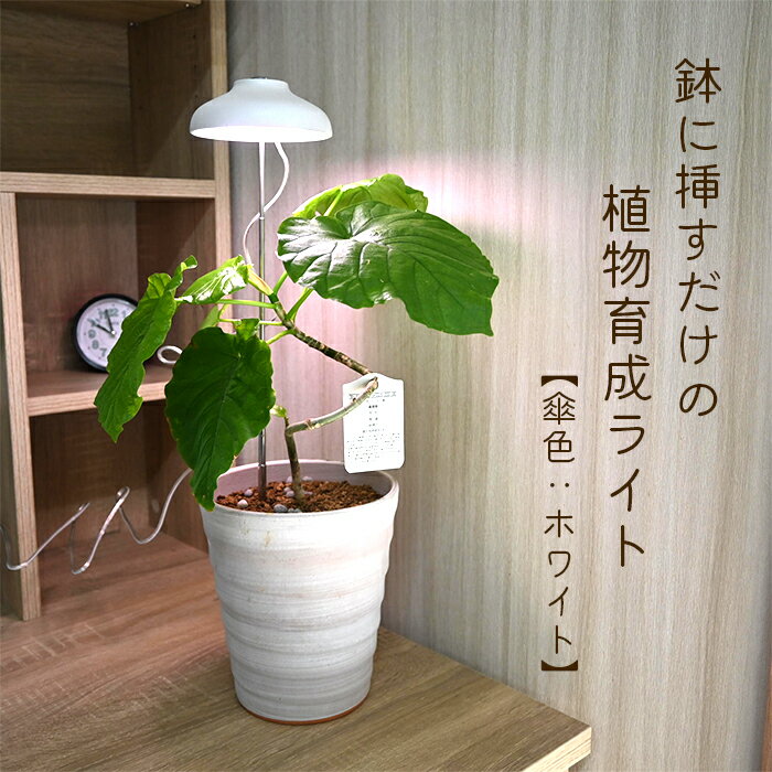植物のための育成ライトスティック傘色ホワイトLEDライト室内でも育てられる