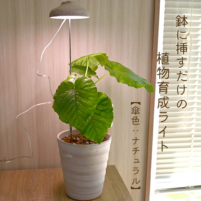 こちらの育成ライトスティックは、薄暗い室内でも植物を育てることができる植物育成ライトです。 鉢に挿すだけなので、簡単にご使用いただけます。 自動電源ON／OFF機能あり。16時間点灯して、8時間消灯を繰り返します。 電源方式はUSBなので、アダプターに挿してコンセントで使用できるだけでなく パソコンでも使用可能です。 傘の部分は植物由来のエコ素材で、和風なインテリアにも映える落ち着いたナチュラルです。 ※植物は付いてきません 植物育成ライト ・商品名植物のための育成ライトスティック ・商品の説明 高さ　　　調節可能22センチ～71センチ 傘色　　　ナチュラル 光源　　　LED 電源方式　USB 使用場所　屋内用 入力電圧　DC5V ※USBアダプターは出力電圧DC5V1Aをご使用ください。 ※DC5V1Aより大きい出力電圧のアダプターを使用すると、LED部分が熱くなる可能性があります。 照度　　　240lm 防塵防水　LP20 消費電力　5W ◎取扱説明書付き ・梱包と発送方法贈り物としてもお届けができます クロネコヤマト便でのお届けです　 ※植物は付いてきません