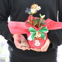白のクリスマスローズクリスマスローズ2025年1月頃開花純白のクリスマスローズ開花株を贈り物【クリスマスプレゼント】クリスマスローズ開花ニゲルお祝い花鉢 クリス...