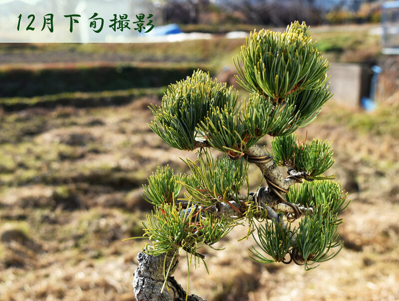 ���� ���վ��ߺ� A4�ܳʸ��վ��ߺϡ�2020ǯ12��22������