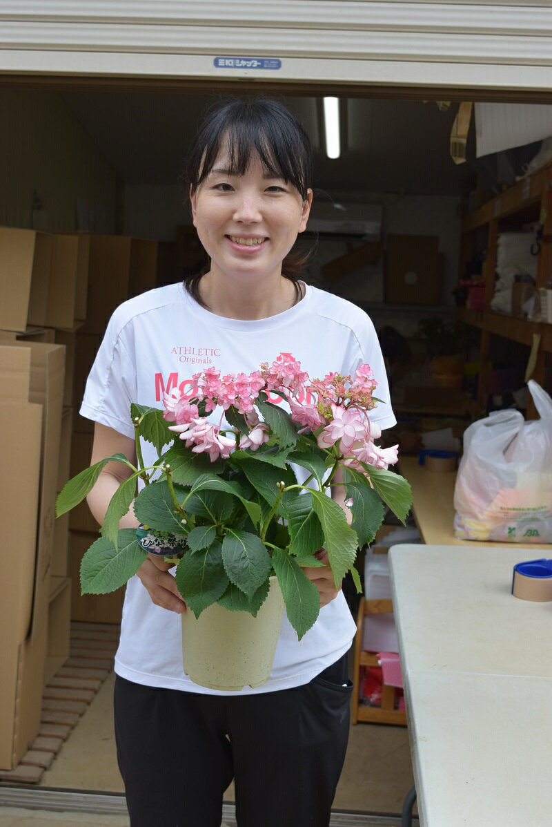 �������Τ��Ϥ��Ȥʤ�ޤ��ۥ������������դ�2025ǯ4���5���ͽ��Υ����������ġ�5��֡�6��ʹߤϡ����ꤷ�����֤Ǥ����Ҥʺפꥢ�������ġ�5��ȭ�����դ�