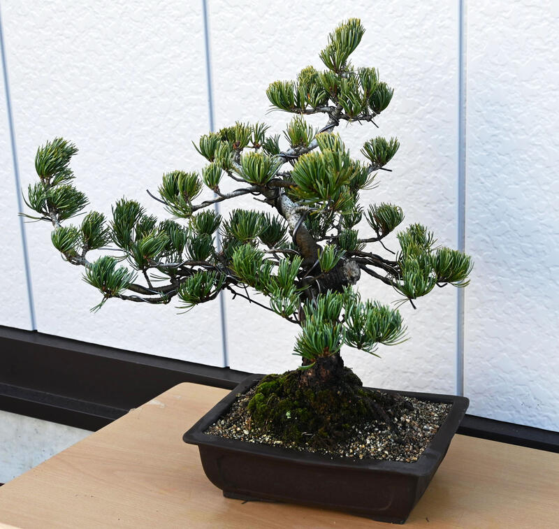 ���ʡ����վ��ߺϡ�B1 �ܳʸ��վ��ߺ� 2021ǯ12��16������