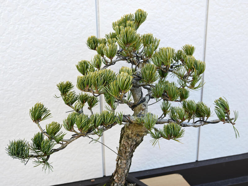 ���ʡ����վ��ߺϡ�B2 �ܳʸ��վ��ߺ� 2021ǯ12��16������