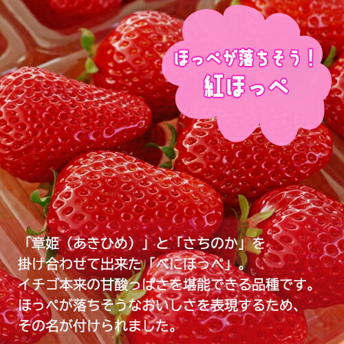 2025ǯNEW������ �� �٤ˤۤä� ������ �Ȥۤäڡ� ������Ƥƿ��٤뤢�ޤ������ڤ���ޤ�