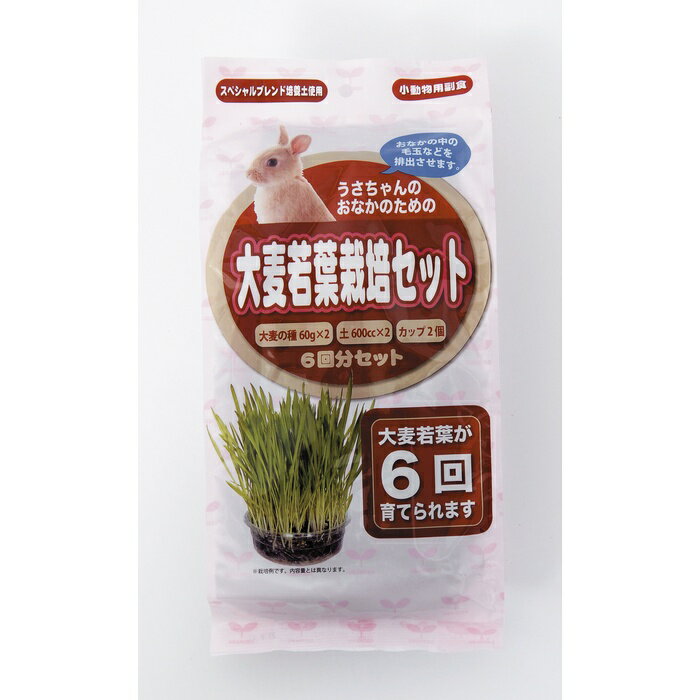 乐天商城 - うさちゃん用大麦若葉栽培セット 6回分