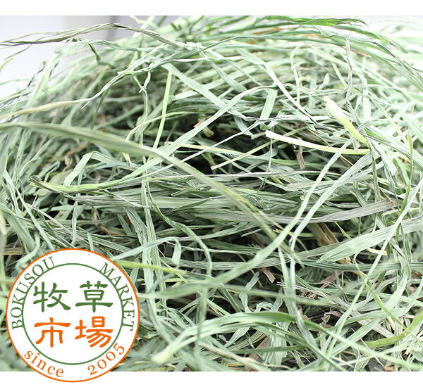 ������7ǯ�ٻ������������Ծ졡US���⥷��3�ִ������𥹡��ѡ����եȡ����������100g�ʥ��եȥ��⥷����