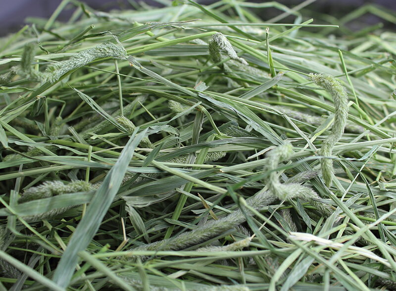 【令和7年度産新刈り】うさぎの牧草 牧草市場 ...の紹介画像2