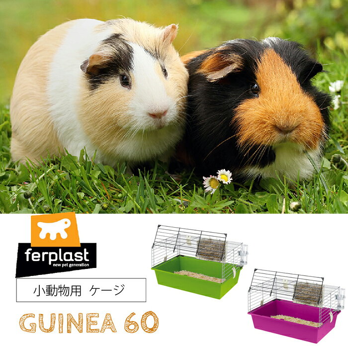 イタリアferplast社製 うさぎ・モルモット用ケージ ギニア60（旧：キャビエ60）【F2】 minimal-10002902 ミニマル サンプル画像2