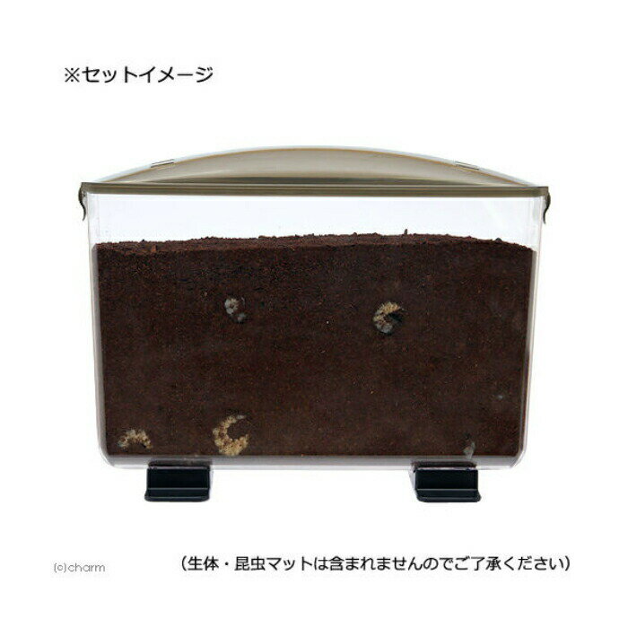 ラクぼっくす ワイド