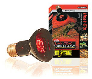 Gヒートグロー赤外線照射ランプ 50W
