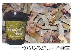 メディマル Dr.Pureナーシングハーブ（ドクターピュアうらじろがしきんせんそう）