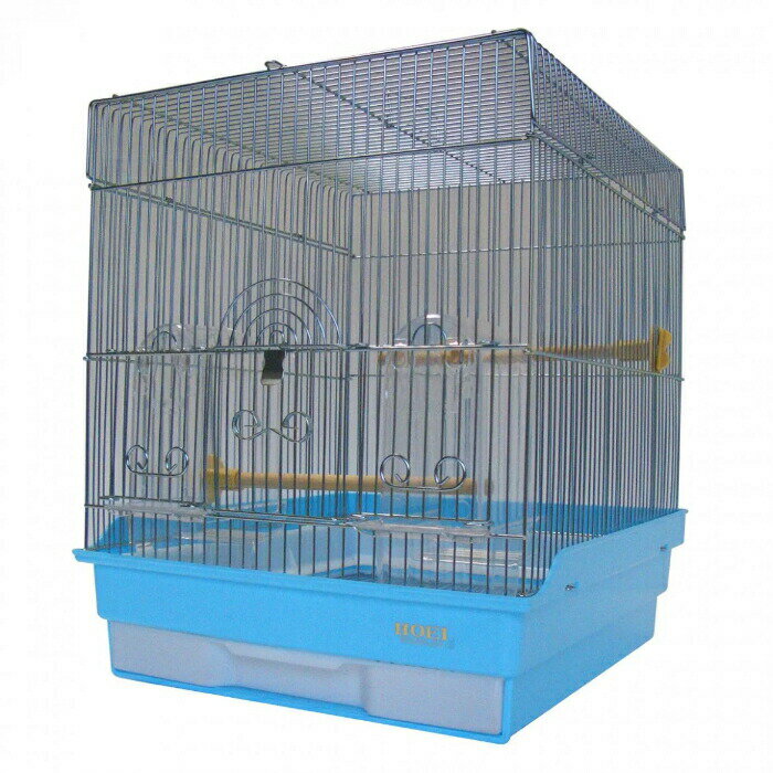 Birds - 35角型