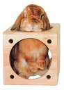 KAWAI(カワイ)キューブハウス(4)
