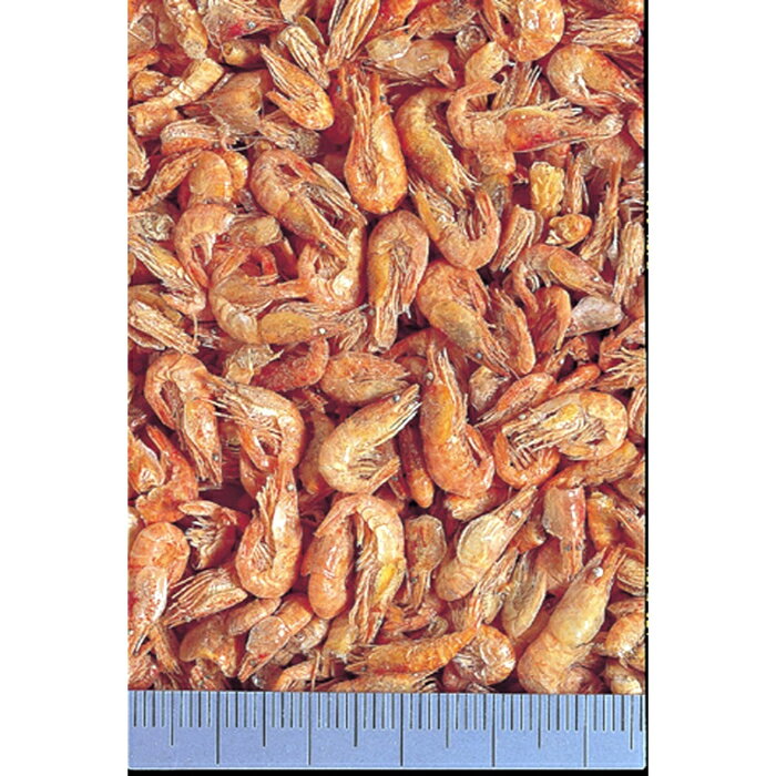 乾燥 川エビ カメのごほうび 徳用 35g