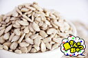 鳥さんのおやつ ひまわりの実 100g (25)