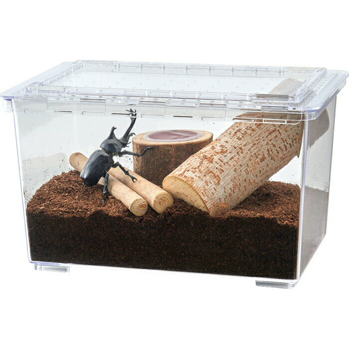 �������3�� �١����å����å�