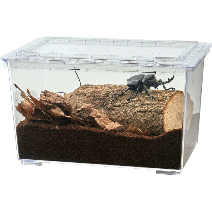 �������3�� ���åץ��졼�ɥ��å�