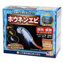 【訳あり大特価!】ニチドウ ホウネンエビ 飼育観察セット