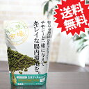 ミニマルで買える「【送料無料】牧草市場 スーパーラビットフード メンテナンス 1.2kg」の画像です。価格は2,017円になります。