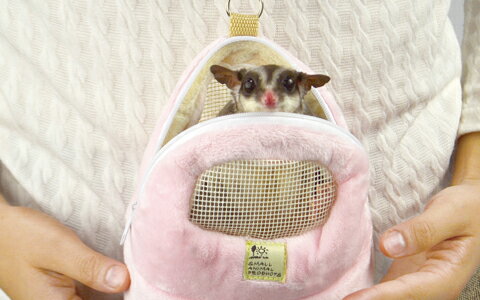 �����ʥ��󥳡��� �ե����ʤ��褷�ݡ���