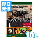 外産カブト虫（アトラス・コーカサス・ヘラクレス）から国産カブト虫まで、産卵・幼虫・サナギ・成虫への育成、羽化率をUPさせるため、天然広葉樹材に発酵菌を添加し、長時間、発酵熟成させたカブトムシ用マットです。 内容量 10L メーカー 三晃商会 対象 カブトムシ、クワガタ虫