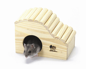 小動物用 木製ハウス ウェーブハウスSの紹介画像2