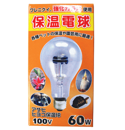 アサヒ　ヒヨコ保温電球60W