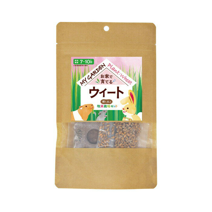 ・うちの子専用の小さなお庭を作ろう！　日の当たる窓辺の一角で簡単に始められる牧草栽培セットです。・栽培容器(チャック付袋)・土・種・説明書が1セットになっているため、手軽に始められます。・どんな風に育つかな？愛情込めて育てた植物をむしゃむしゃ食べる姿を見るのがきっと楽しみになるはず♪　ウィートは、「小麦」とも呼ばれており、シャキシャキ食感がたまらない種類！良いモグモグ音を聞くことができるかも？【メーカー名】イースター 株式会社【原産国または製造地】日本