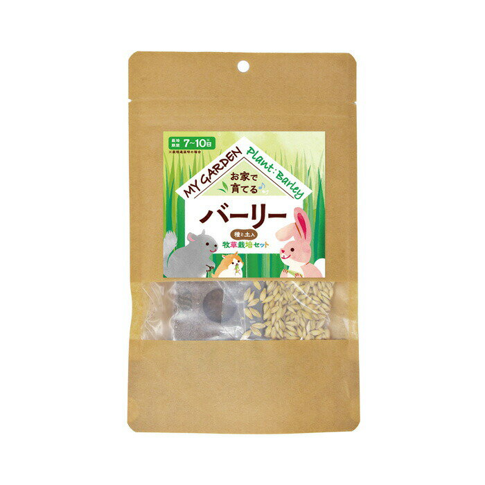 �ޥ������ǥ� ������ݥ��å� �С��꡼