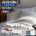 【レビュー特典】 電気毛布 ここちよい毛布 掛け敷き 毛布 188×120cm コイズミ KDK75230 KDK-75230 清潔 ダニ退治 おしゃれ 水洗い 洗える おしゃれ コントローラー キャンプ ブランケット あったかい 掛け毛布 敷き毛布 敷毛布 掛敷毛布 シングル 無地 かわいい ●