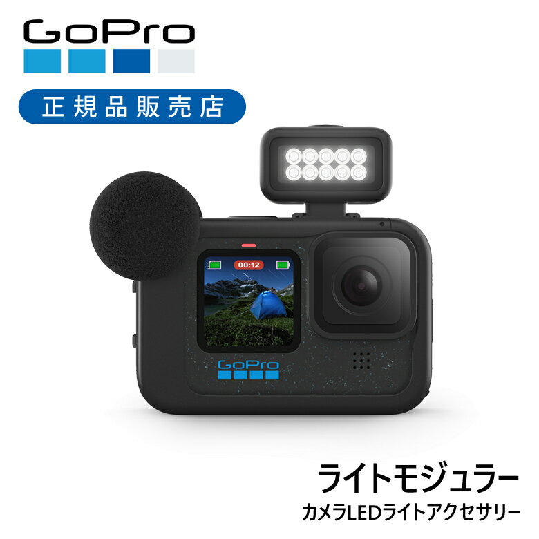 ＜正規品＞GoPro ゴープロ ライトモジュラー ALTSC001 | 純正 配信 YouTube ライト 照明 LED LEDライト 配信用ライト カメラ照明 カメラライト 専用 ALTSC-001 マウント アクセサリー コンパクト カメラLEDライトアクセサリー 200ルーメン 明るい Vlog ビデオ 撮影