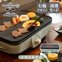 【正規品】アラジン グラファイトミニグリラー グリーン CAGMG7AG | 七輪 卓上 小さい オシャレ かわいい 遠赤グラファイト 赤外線 焼肉 煙 輻射熱...