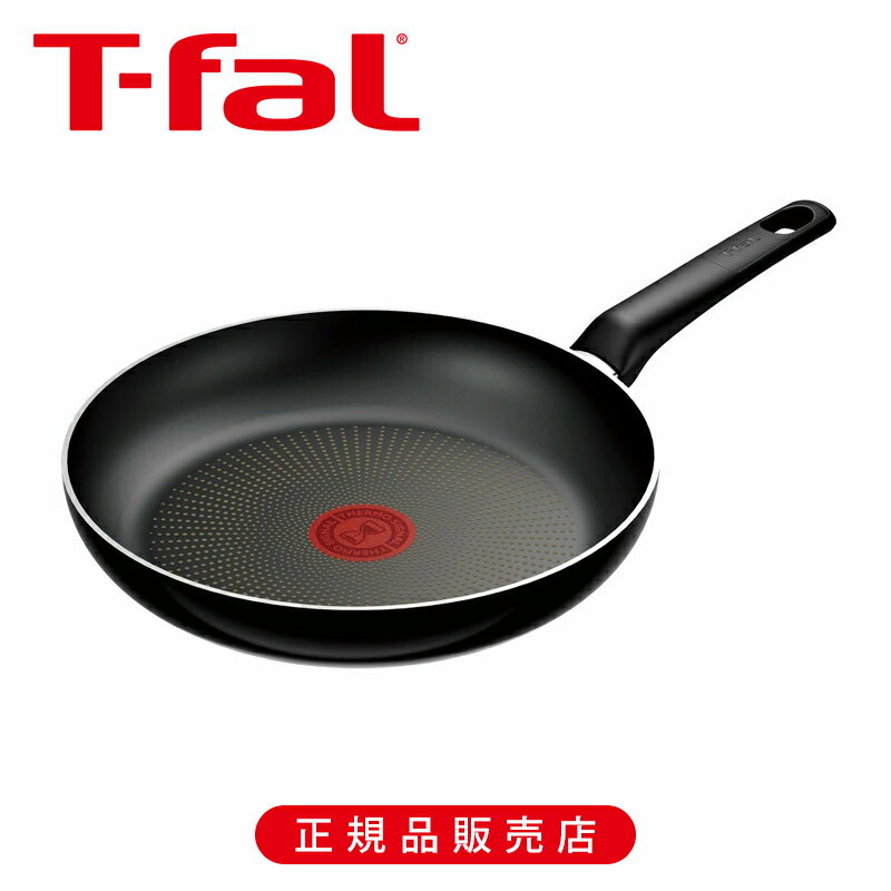 �ƥ��ե����� �ϡ��ɥ����˥��।��ƥ󥹥ե饤�ѥ�24cm D53004 ������ D53004 3168430360990