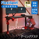 【正規品】FlexiSpot ゲーミングデスク GT2DJA | フレキシスポット オフィスデスク 昇降 デスク 在宅 在宅ワーク 昇降式 昇降テーブル 昇降式デスク 高さ調節 高さ調整 電動昇降デスク パソコンデスク スタンディング デスク テレワーク オフィス 幅120 5年保証 ゲーム用