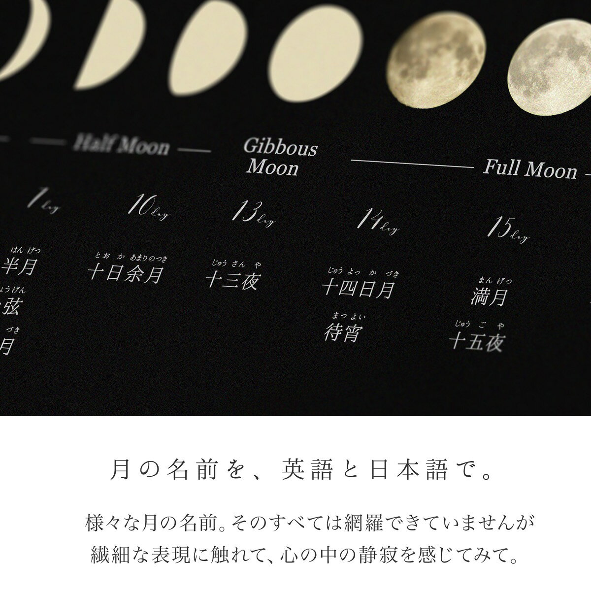 ��������礱 �ݥ����� A3�ñ��褬�����ʻҤγؤӤ������å�Υȡ���λ����Ǹ��䤹���ûҤɤ��������ӥ󥰤��������MINIMAL MAP