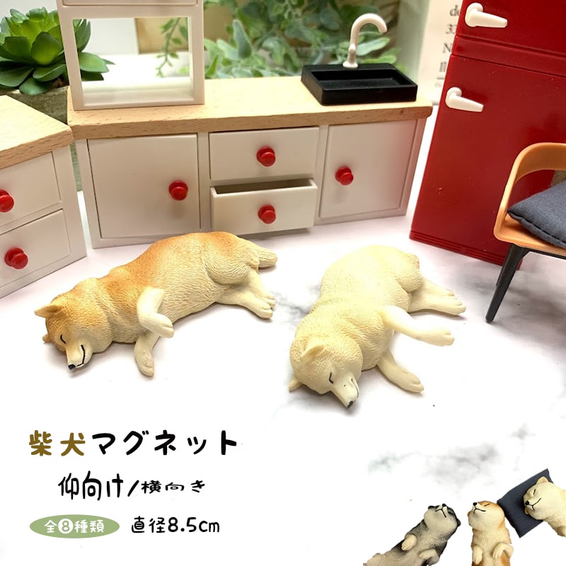 楽天minimini（送料無料） 柴犬 マグネット 冷蔵庫 かわいい ミニチュア 犬 わんこ フィギュア リアル 本物そっくり 黒柴 赤柴 白柴 日本犬 動物 グッズ 雑貨 かわいい デスクワーク 癒し 疲れ 人気 小さい 面白い 文房具 グッツ ギフト