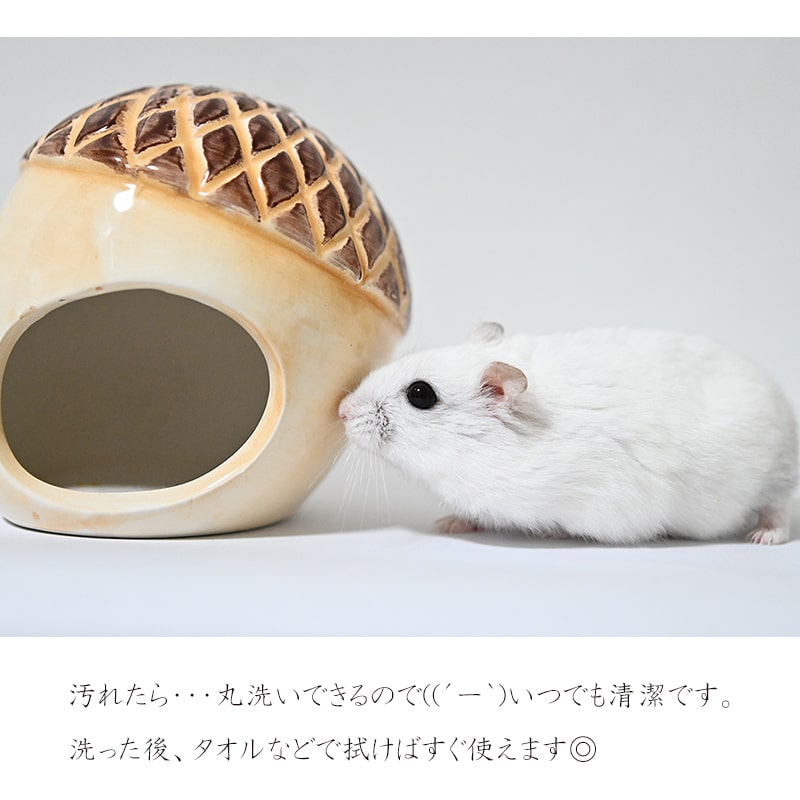 【すぐ届く】ハムスター 陶器 暑さ対策 夏 ゴ...の紹介画像3