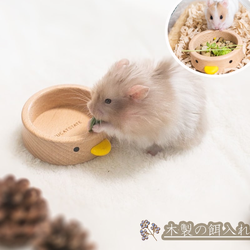かじっても餌入れとしても使える 送料無料 木製 ハムスター フードボール 餌箱 エサ入れ かわいい ひっくり返し防止 ペット用品 かじり木 安心安全 リス 最も優遇の モモンガ ひよこ 鳥 おしゃれ シンプル インコ デグー 小分け ギフト 小動物