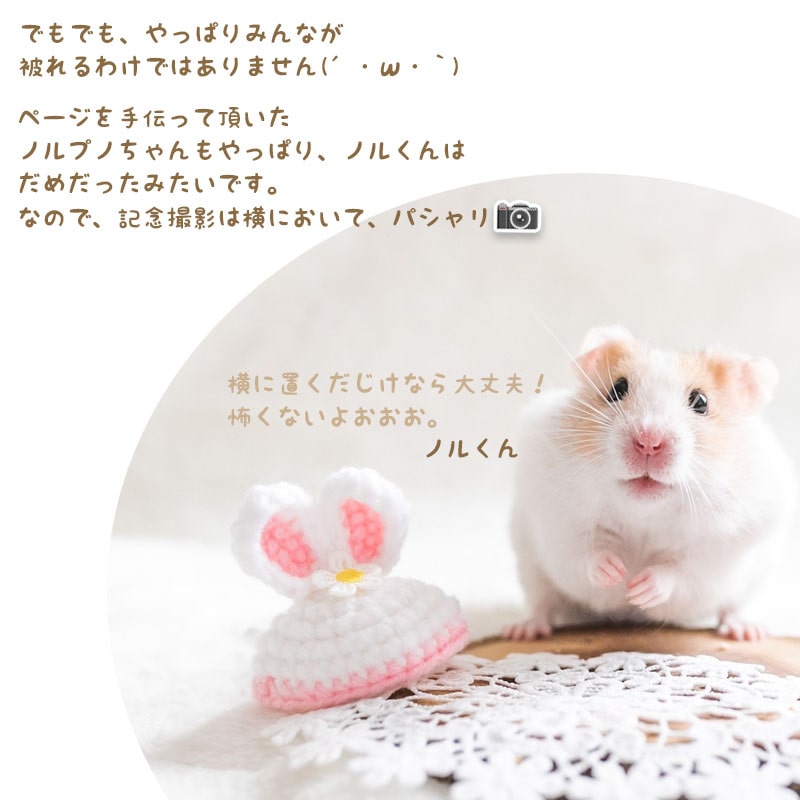 【Mページ】ハムスター 帽子 可愛い うさぎ かぼちゃ ハロウィン イベント グッツ 用品 手織り帽子 爬虫類 小動物用 鳥 調整可能 ニット帽 コスプレ クリスマス 小物 ぬいぐるみ ぼうし ぶた ウィッグ 三つ編み 人参 かえる ゴールデンハムスター マウス 【クリックポスト】