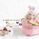 【Mページ】ハムスター 帽子 可愛い うさぎ かぼちゃ ハロウィン イベント グッツ 用品 手織り帽子 爬虫類 小動物用 鳥 調整可能 ニット帽 コスプレ クリスマス 小物 ぬいぐるみ ぼうし ぶた ウィッグ 三つ編み 人参 かえる ゴールデンハムスター マウス 【クリックポスト】