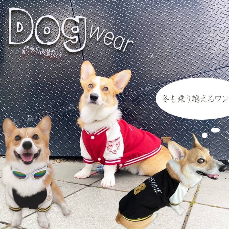 【すぐ届く】 コーギー 服 犬 冬 防寒 犬服 ドックウェア ウエア ジャケット スタジャン かっこいい 男の子 刺繡 ジャンパー フレンチブルドック 柴犬 【レターパックプラス】