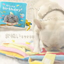 【すぐ届く】 ノーズワーク 犬 知育トイ お誕生日 お祝い 早食い防止 ストレス解消 トレーニング 犬 コミュニケーション カシャカシャ音 室内遊び 小型犬 チ...