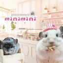 チンチラ 帽子 小動物 アクセサリー 記念日 撮影 かわいい 定員さん お店屋さんごっこ 写真 小道具 帽子 小物 パンダ チェック モルモット チンチラ キャップ ハンドメイド