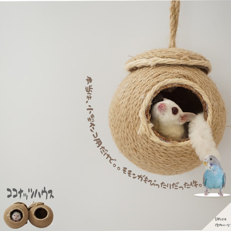 【すぐ届く】 ココナッツ ハウス インコ モモンガ ココナッツ ナチュラル 自然 小動物 吊り下げ ハウス 留め具 遊び場 おしゃれ セキセイインコ 文鳥 ケージ アクセサリー